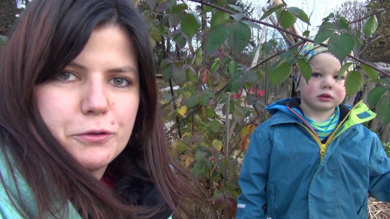 Read more about the article Kako in zakaj z Mojstrom vrtičkava?