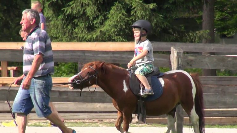 Read more about the article II. srečanje MAMI blogerk na Dolenjskem