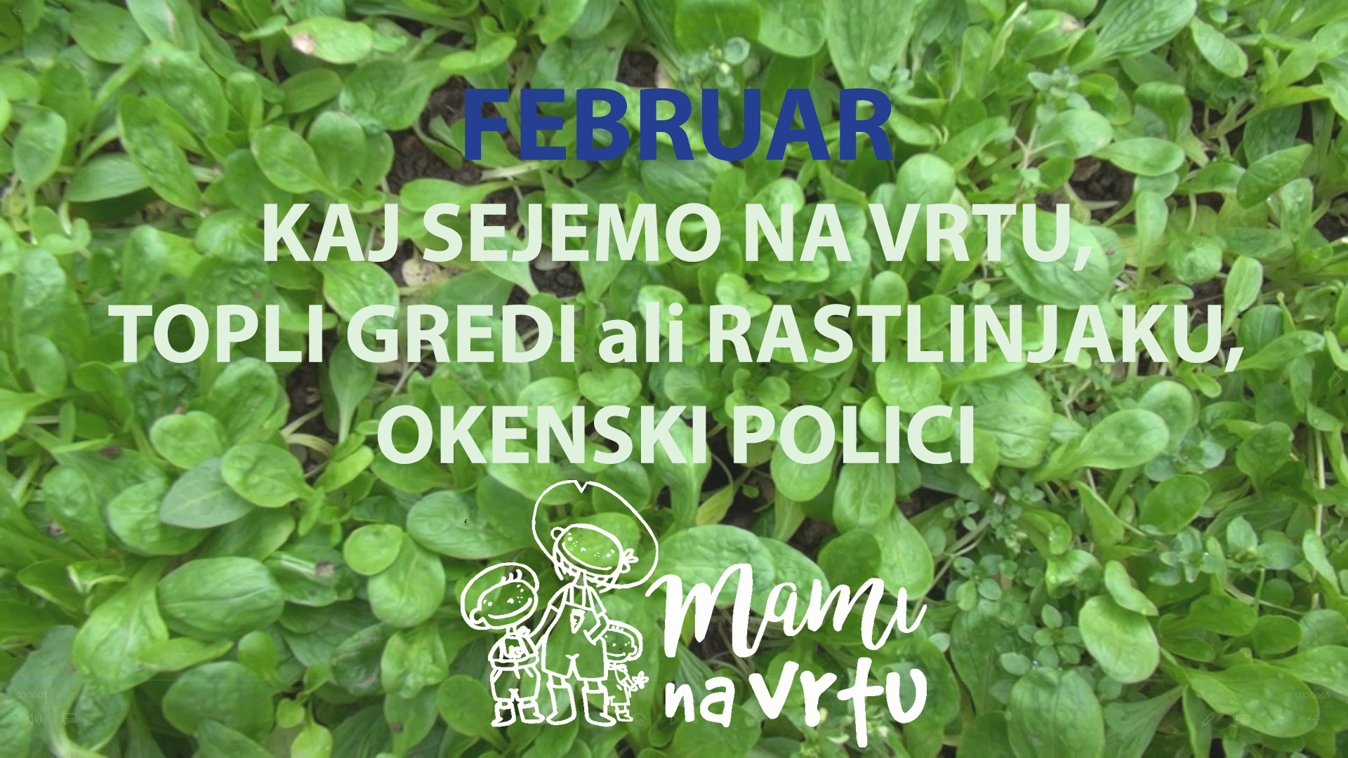 Read more about the article KAJ SEJEMO FEBRUARJA NA VRT, V TOPLO GREDO IN NA OKENSKO POLICO