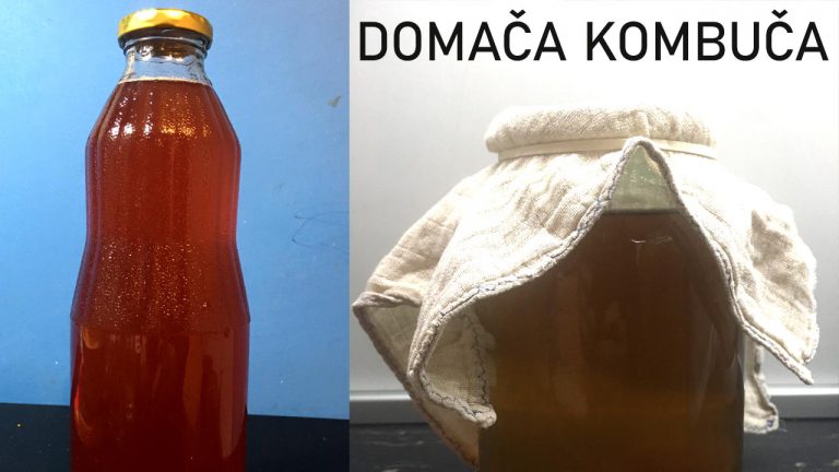 Read more about the article Kako doma pripraviti kombučo